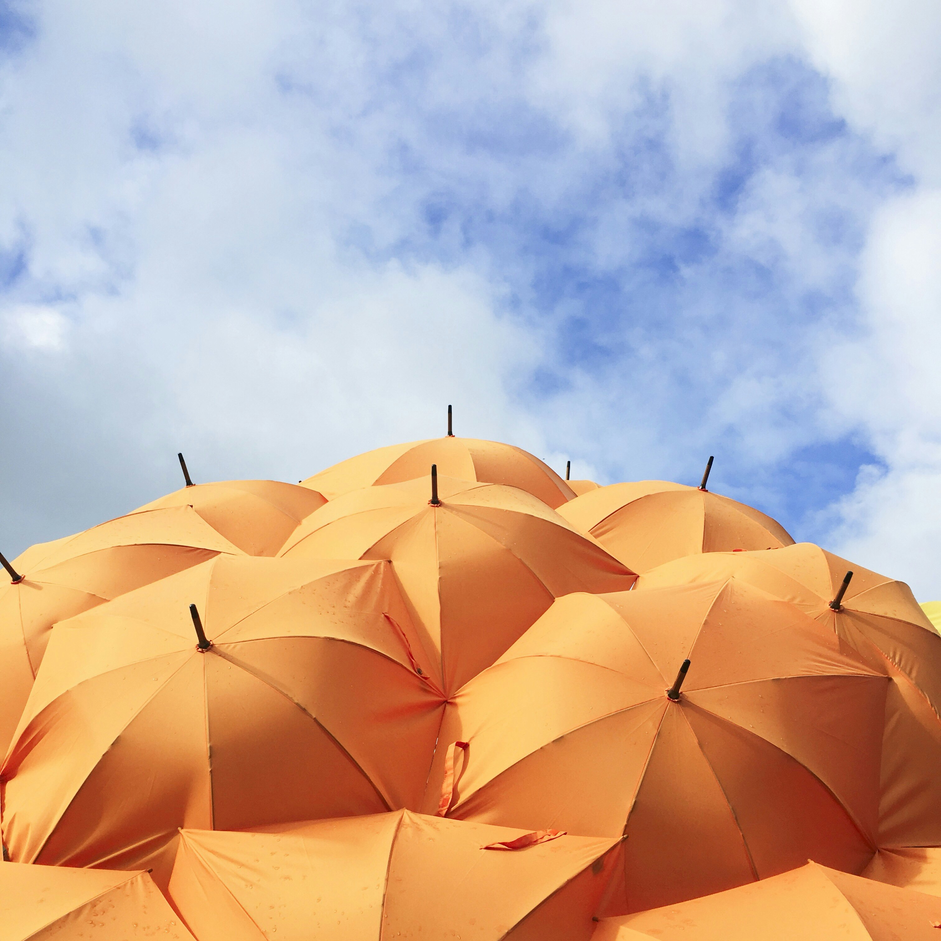 Financial Security System: Building Multiple Layers of Protection for Your Wealth
