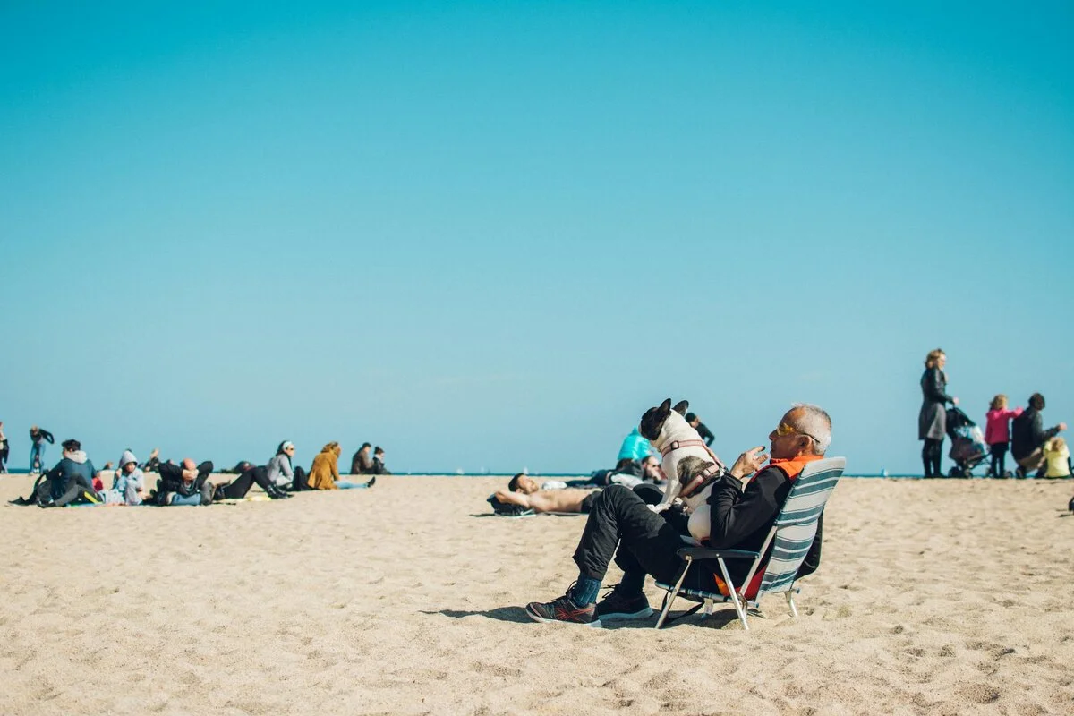 Annuities Explained: Types, Benefits & Drawbacks for Retirement
