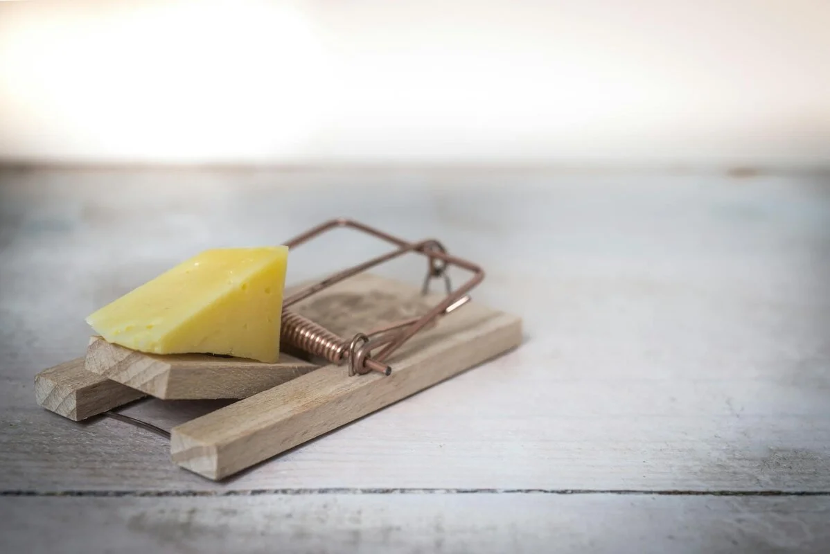 Mouse trap with cheese, symbolizing the concept of tail risk and the importance of hedging strategies to protect against unexpected financial threats