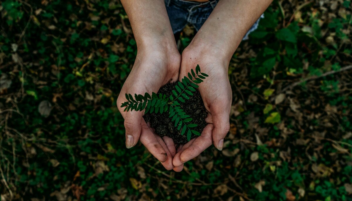 Sustainable Income: Building Financial Security That Lasts a Lifetime