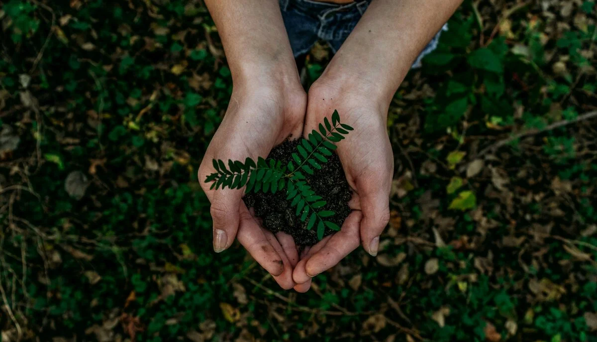 Sustainable Income: Building Financial Security That Lasts a Lifetime